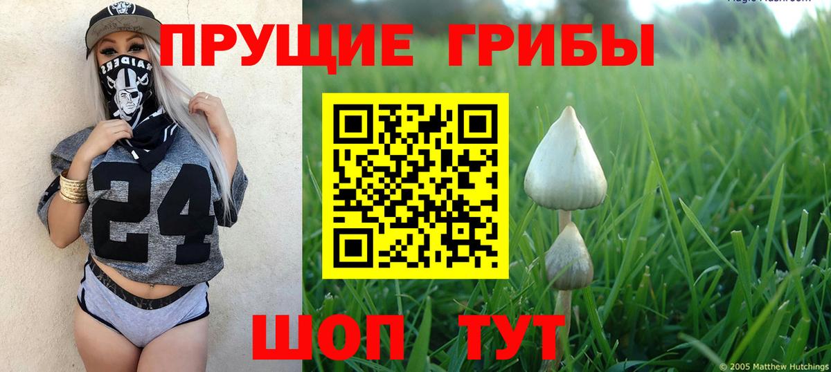 Галлюциногенные грибы Cubensis  Вход с VPN  Алексеевка 