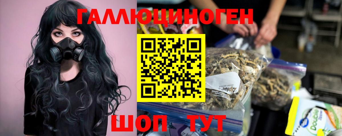 Галлюциногенные грибы Psilocybine cubensis Алексеевка